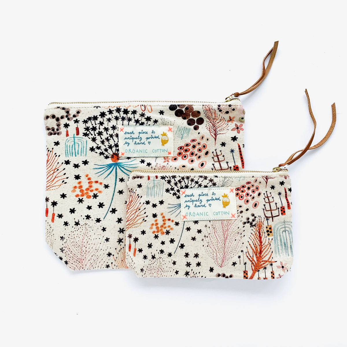 Pouch Fern