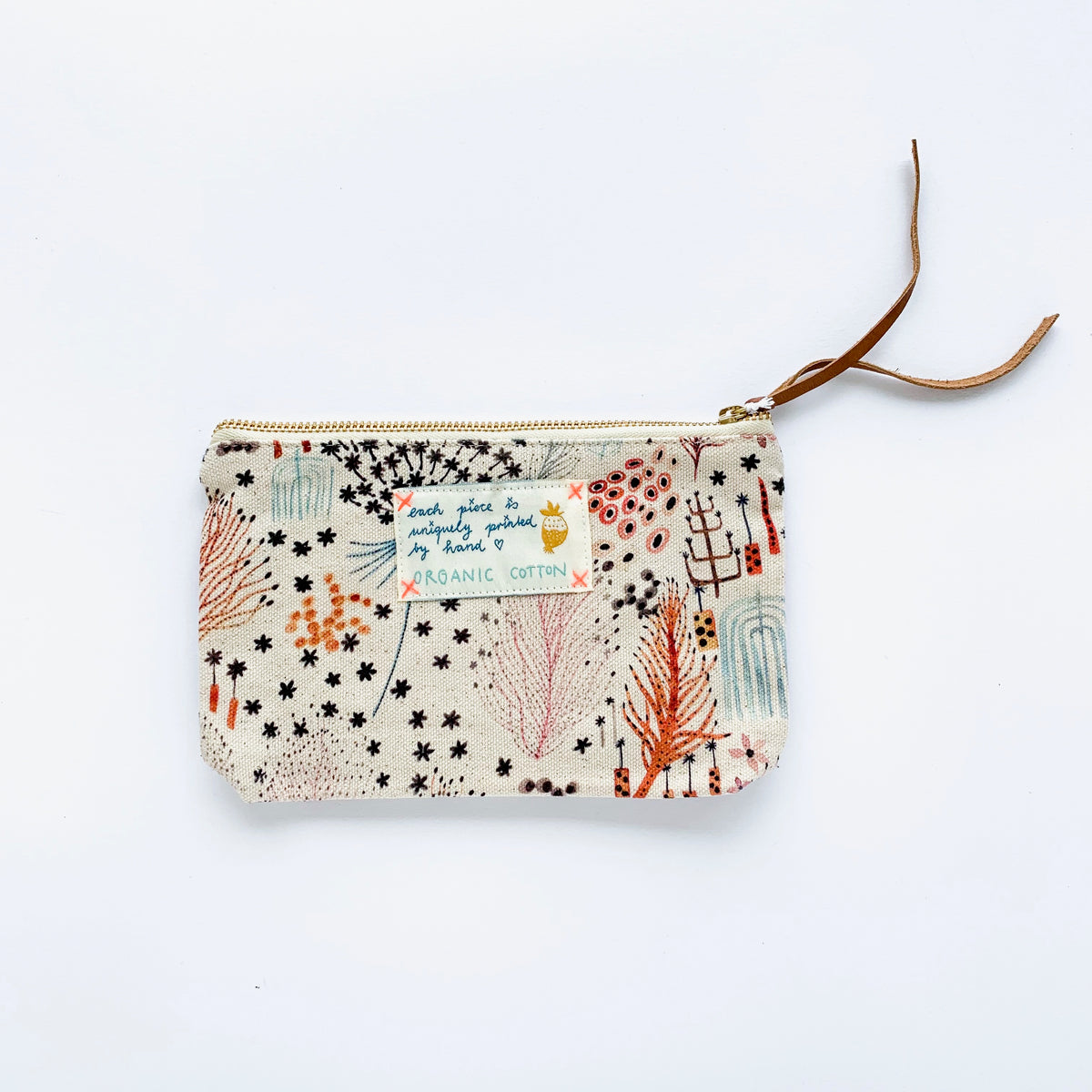 Pouch Fern