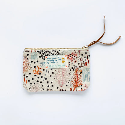 Pouch Fern