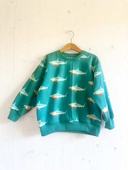 Pullover Sharks