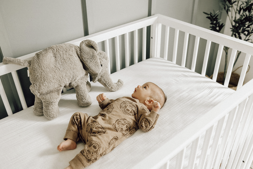 Kuscheltier Elefant