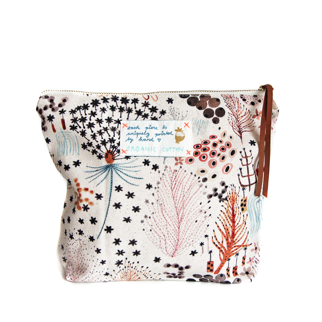 Pouch Fern