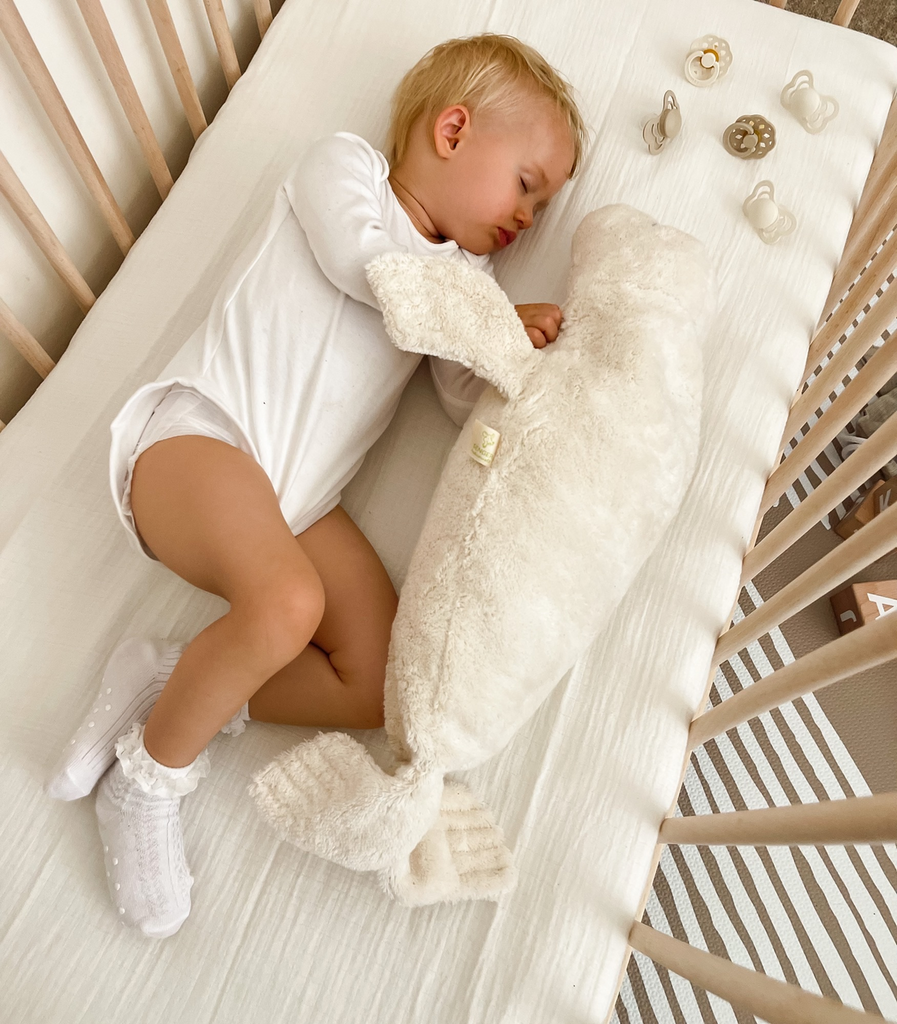 Stuffed seal white